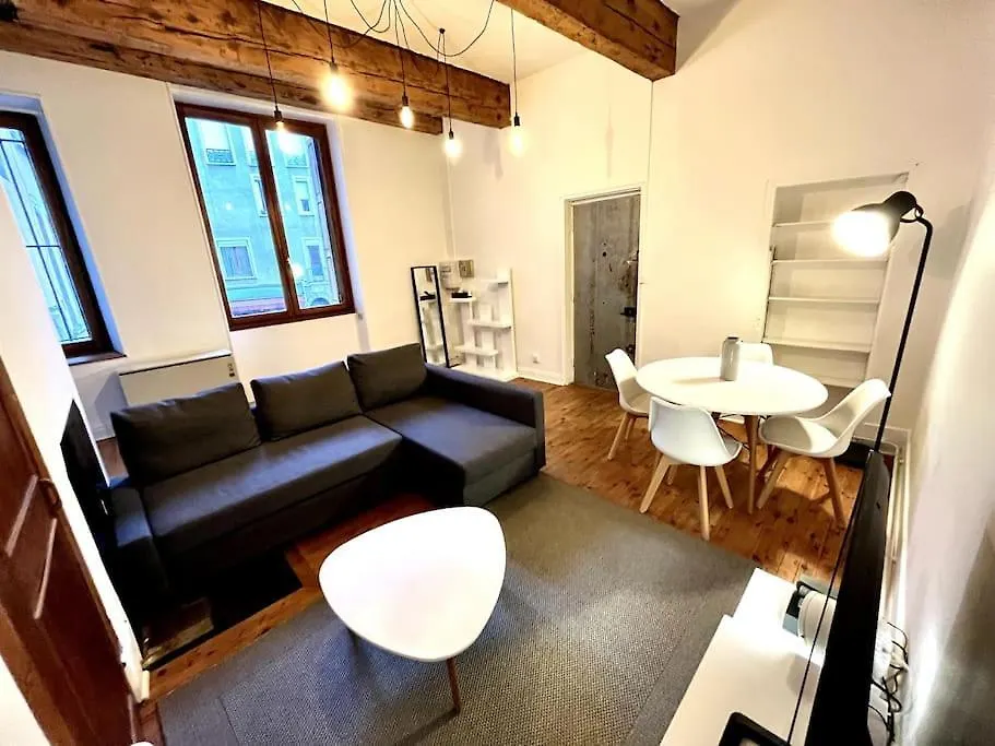 Grenoble Hypercentre - Appartement Vieille Ville - Wifi